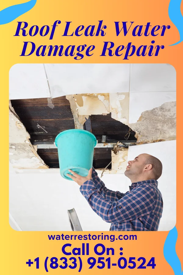 Roof Leak Water Damage Repair in Prescott, OR